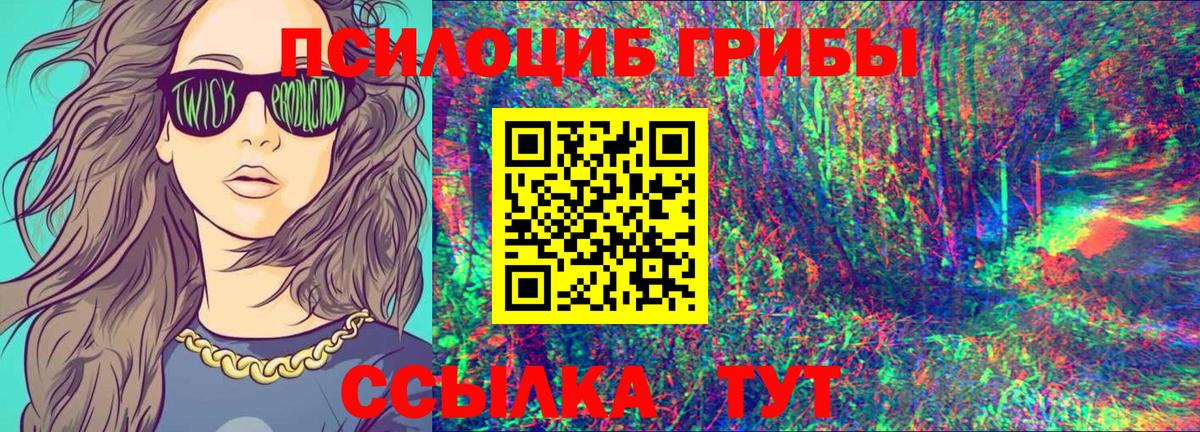 Псилоцибиновые грибы ЛСД  купить  цена  Янаул  Вход с VPN 